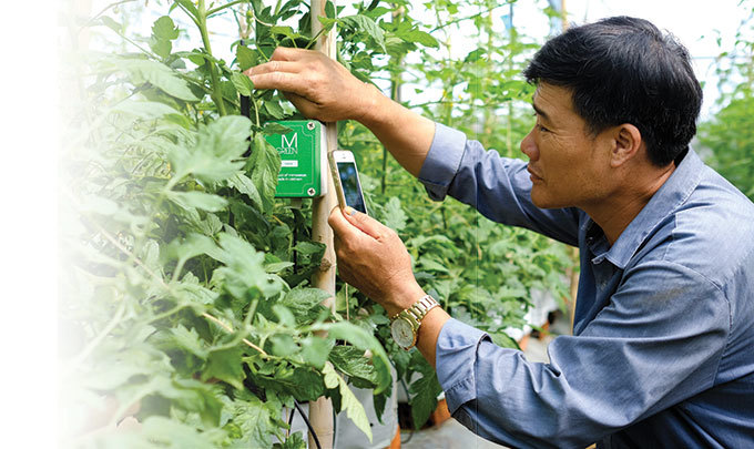 Time is ripe for Vietnam's agriculture digitalization