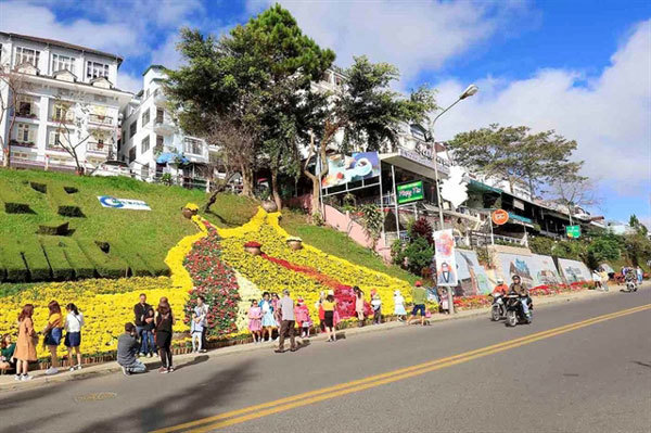 Da Lat prepares for flower festival