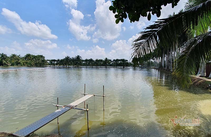 Huyện Hồng Dân cán mốc Nông thôn mới