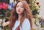 Tang lễ của Goo Hara được tổ chức kín đáo, cùng địa điểm với Sulli