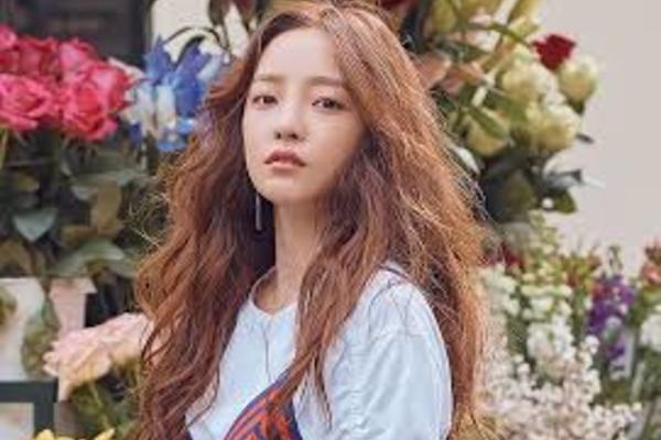 Tang lễ của Goo Hara được tổ chức kín đáo, cùng địa điểm với Sulli