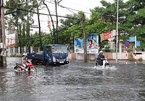 HCM City, Mekong Delta face serious land subsidence