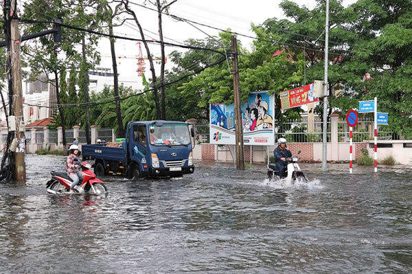 HCM City, Mekong Delta face serious land subsidence