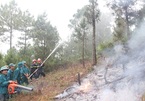 Forest fire surveillance cameras installed in Thanh Hoa