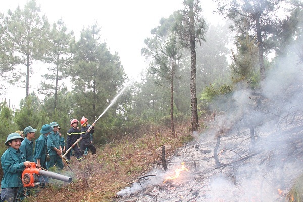 Forest fire surveillance cameras installed in Thanh Hoa