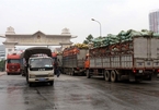 VN logistics can benefit from growing economy