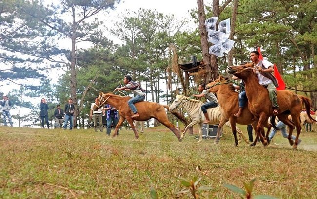 Da Nang proposes US$2 billion horse-racing track, golf course