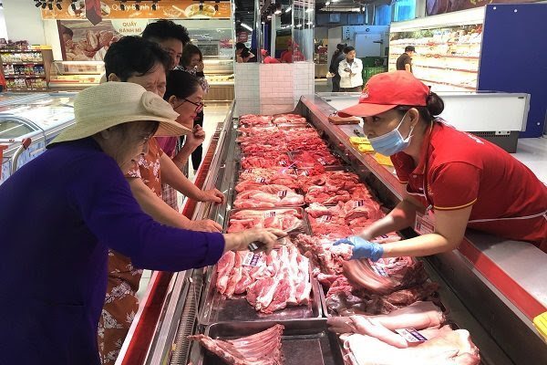 Vietnamese farmers keen on upsizing pig herds as prices skyrocket