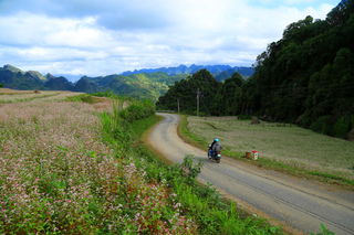 Ha Giang peaks in top 20 dream destinations