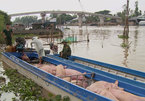 State strictly controls trading, transport of smuggled pigs