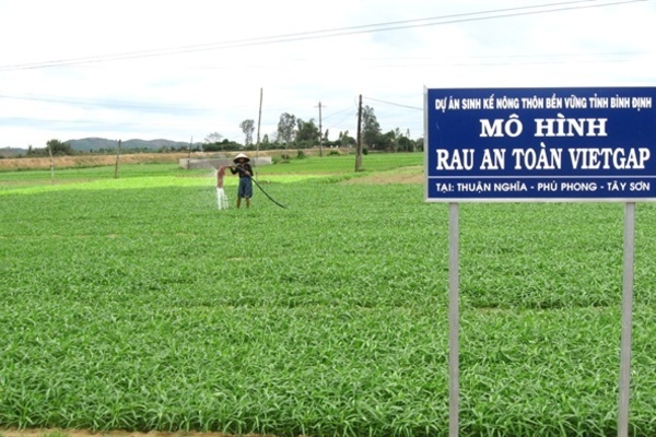 Bình Định có 77/121 xã đạt chuẩn nông thôn mới giai đoạn 2011-2020