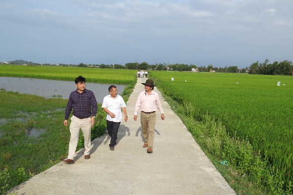 Huy động hơn 360.000 tỷ đồng xây NTM ở Duyên hải Nam Trung Bộ, Tây Nguyên