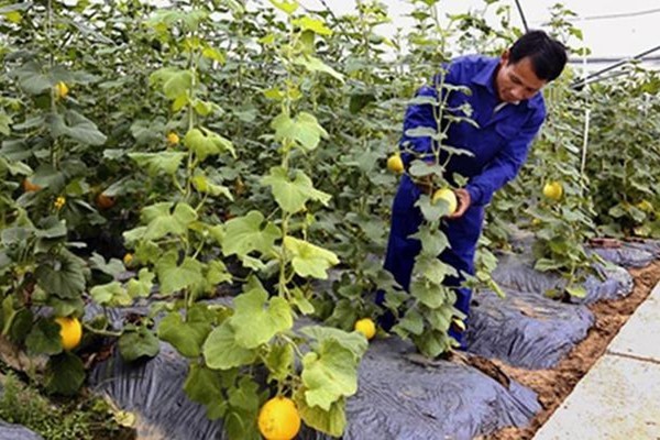 Ninh Bình tổng kết 10 năm xây dựng nông thôn mới