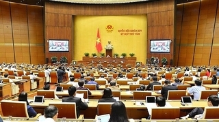 National Assembly deputies give voice as law on PPP takes shape