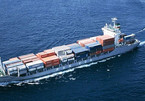 Sea shipping is flourishing in Vietnam