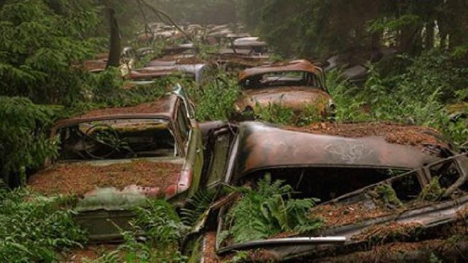 Khu rừng bí ẩn đầy xe hơi tại Bỉ