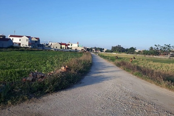 Đời sống vật chất, tinh thần của người dân Hậu Lộc được cải thiện nhờ NTM