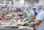 Vietnam's aquatic export revenue likely to miss 2019 target