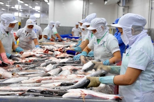 Vietnam's aquatic export revenue likely to miss 2019 target