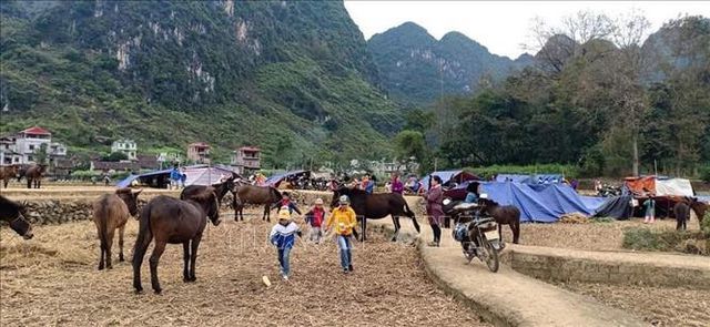 People sleep outside after Cao Bang earthquakes