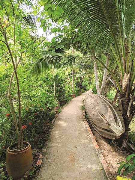 Con Son Islet achieves success in eco-tourism development