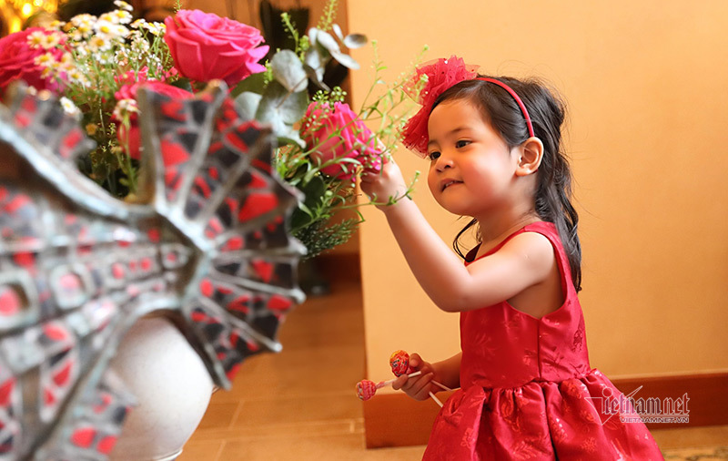 Vũ Cẩm Nhung khoe con gái 2 tuổi như búp bê