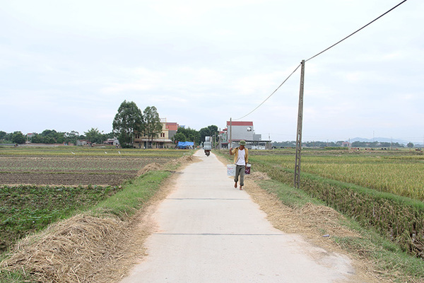 “Nông dân chung tay xây dựng nông thôn mới và bảo vệ môi trường”