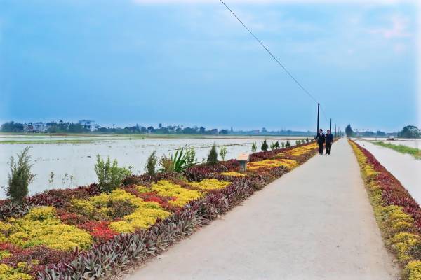 Nông thôn mới ở Hải Hậu: Làm từ đồng về làng, làm từ nhà ra xóm, làm từ xóm lên xã