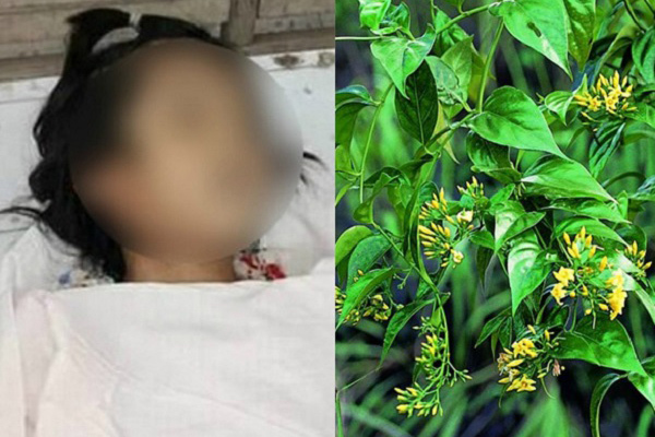 Mâu thuẫn với chồng, vợ vào rừng ăn lá ngón rồi chụp ảnh gửi về nhà