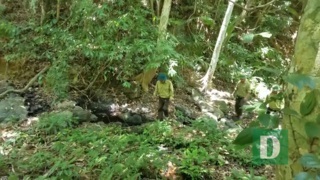 Quang Binh keeps losing forest rangers due to low pay