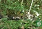 Quang Binh keeps losing forest rangers due to low pay