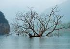 Na Hang Lake a smaller version of Ha Long Bay