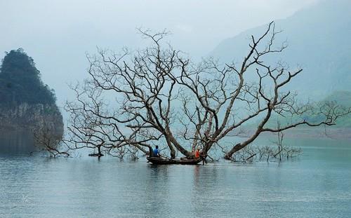 Na Hang Lake a smaller version of Ha Long Bay