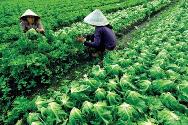 Xã Dân Quyền chung sức xây dựng Nông thôn mới