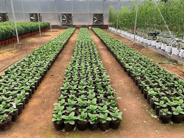 Đổi mới Quỹ hỗ trợ nông dân giúp người dân cải thiện đời sống