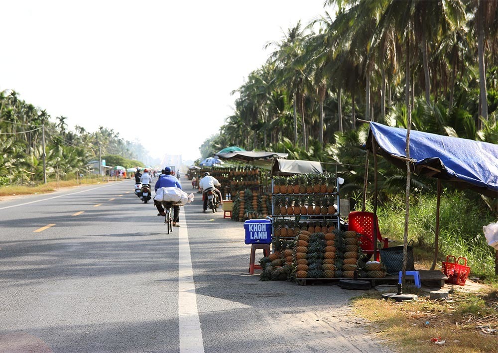 Cải thiện chất lượng tín dụng chính sách vùng Tây Nam Bộ