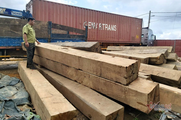 Clip mở thùng container, lộ hàng chục phách gỗ quý ở Đắk Lắk
