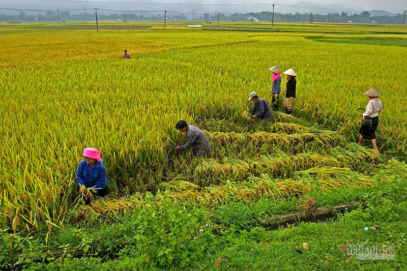 Định hướng chính sách “giảm cho không, tăng cho vay ưu đãi, hỗ trợ có điều kiện”