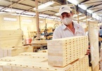Vietnam needs ‘FDI filter’ for woodwork industry