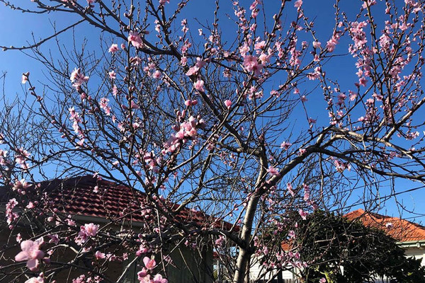 Đã ly hôn, tôi vẫn bị nhà chồng cũ trách không gửi tiền về biếu Tết