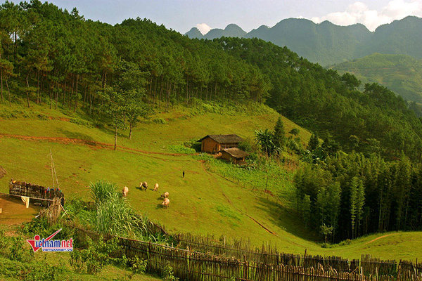 Nghị quyết 37 thúc đẩy tích cực diện mạo trung du và miền núi Bắc Bộ