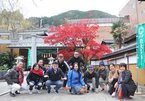 Da Nang continues to woo Chinese, S. Korean tourists