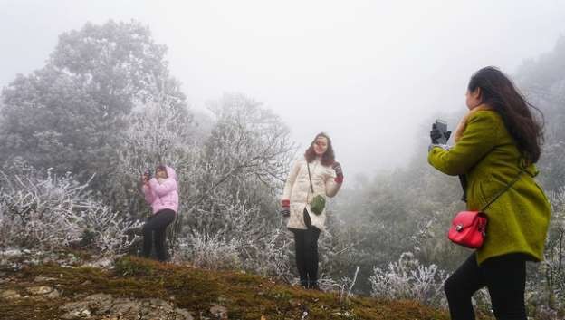 Frost forecasted to hit VN northern mountainous areas