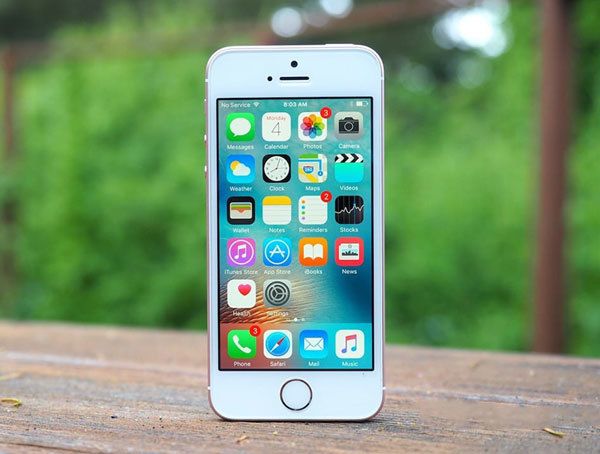 Overprotection or privacy violation?