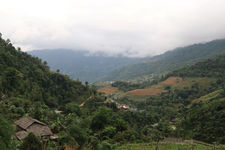 Kinh nghiệm phát triển rừng gắn với giảm nghèo bền vững