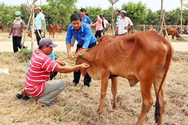 Long An tăng cường kỹ năng thông tin về Chương trình mục tiêu quốc gia giảm nghèo bền vững