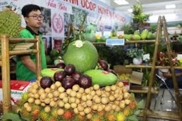 Hình thành các chuỗi phân phối sản phẩm sản xuất tại Việt Nam bền vững