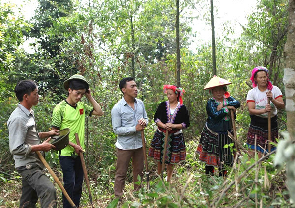Vietnam's forest management sector to improve forest protection