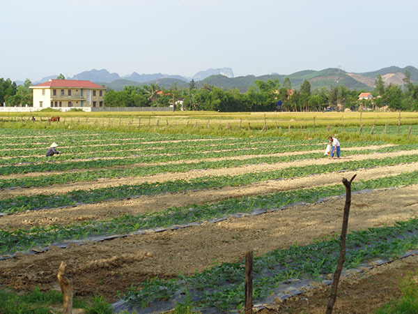 Hội cựu chiến binh Quảng Bình tự lực tự cường thi đua sản xuất kinh doanh giỏi