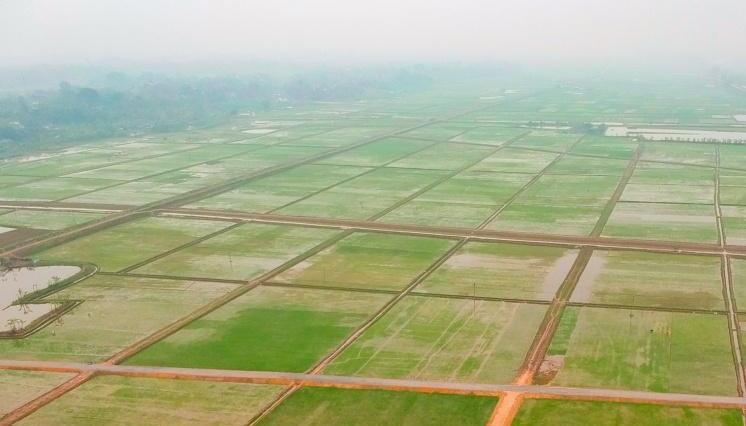 Phú Thọ: Thành quả xóa đói giảm nghèo từ một cuộc vận động thiết thực